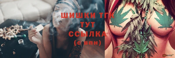 гидра Лагань