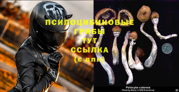 соль курить ск Ладушкин