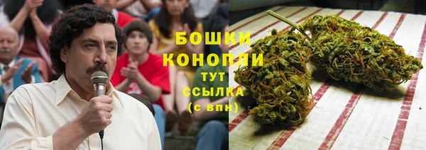 гидра Лагань