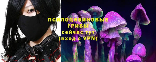 гидра Лагань