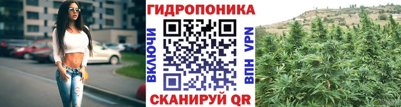 Каннабис THC 21%  Купить закладки  Пенза 